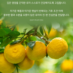 Skinfood Yuja C Vita Daily Mask (30szt) I Codzienna maska w płachcie z ekstraktem z yuzu i pochodnymi witaminy C (30szt)