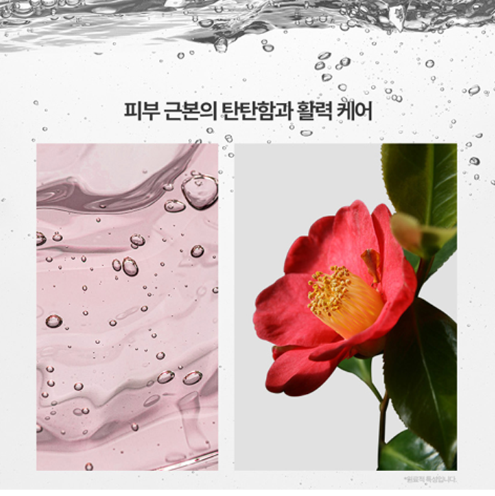 Dr.Lee Flower Peptide Rejuvenation Ampoule 50ml I Ampułka odmładzająca z peptydami – regeneracja, jędrność i wygładzenie